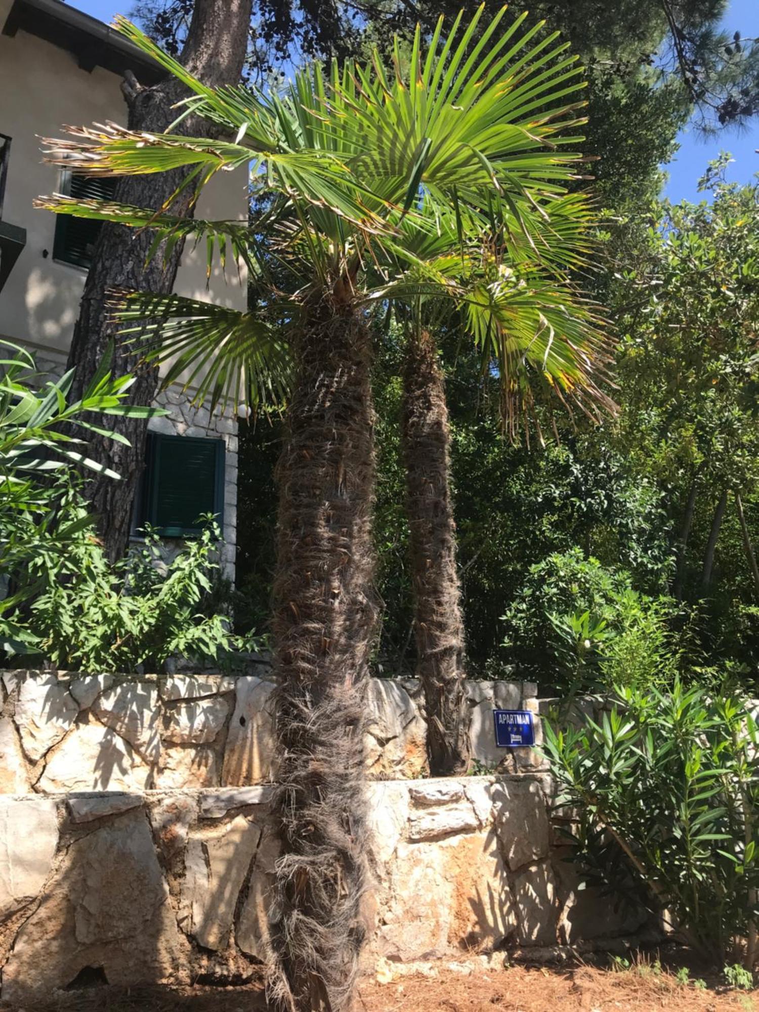 מאלי לוסיניי Apartment Sunshine מראה חיצוני תמונה