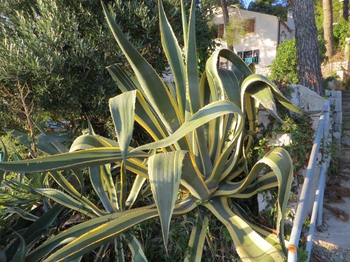 מאלי לוסיניי Apartment Sunshine מראה חיצוני תמונה