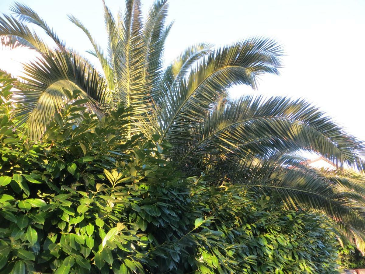 מאלי לוסיניי Apartment Sunshine מראה חיצוני תמונה