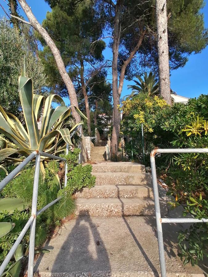 מאלי לוסיניי Apartment Sunshine מראה חיצוני תמונה